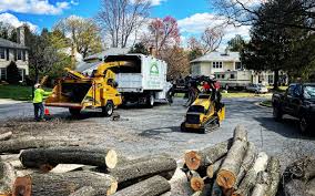 Best Firewood Processing and Delivery  in Los Altos, CA